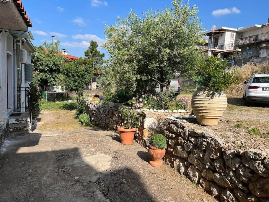 Guesthouse Simou With View 3 Bedrooms Arachova Exteriér fotografie